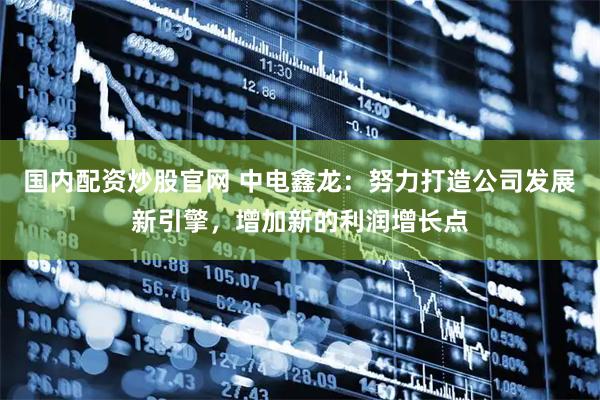 国内配资炒股官网 中电鑫龙：努力打造公司发展新引擎，增加新的利润增长点